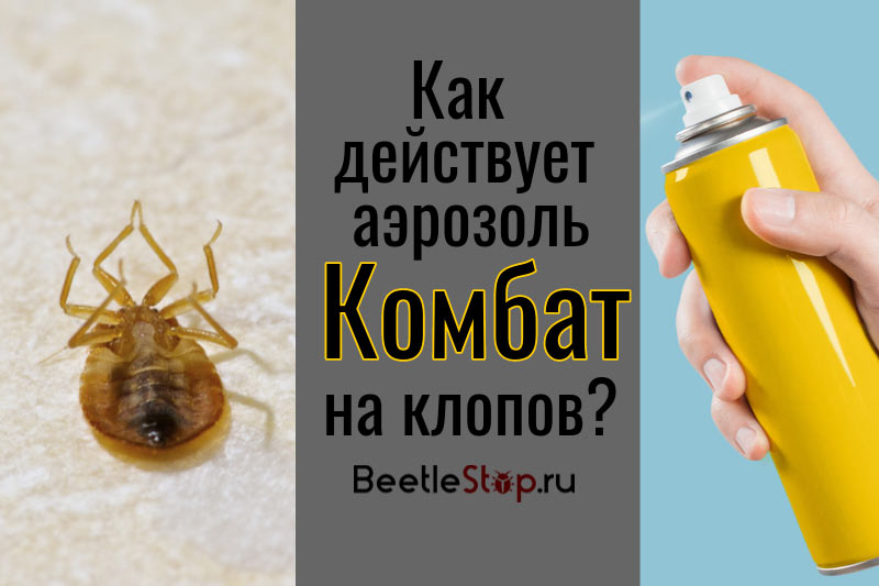 „Bedbug“ kova