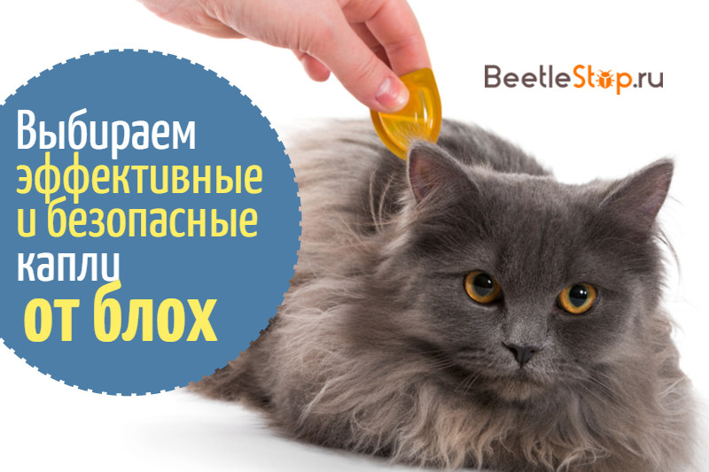 Drops for pets from fleas