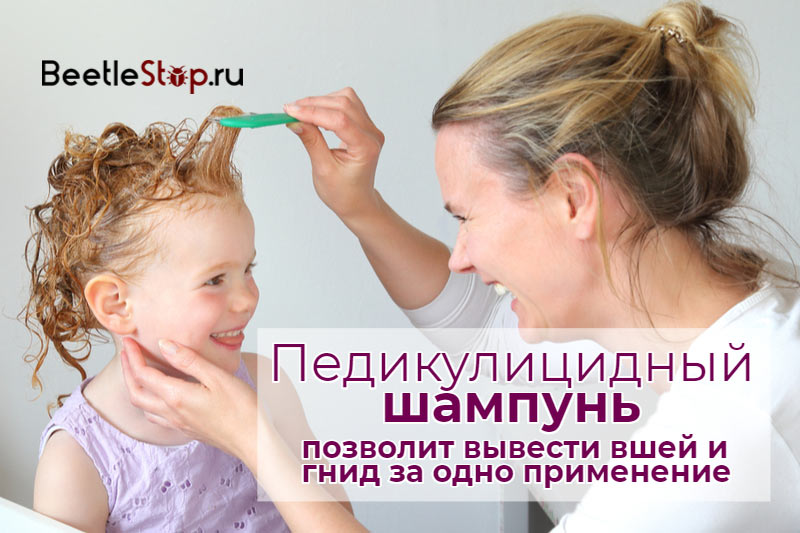 Lice Shampoo